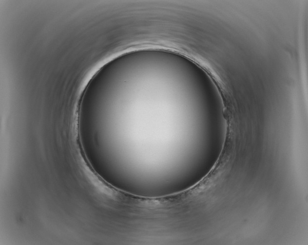 X0000111841524200907231357