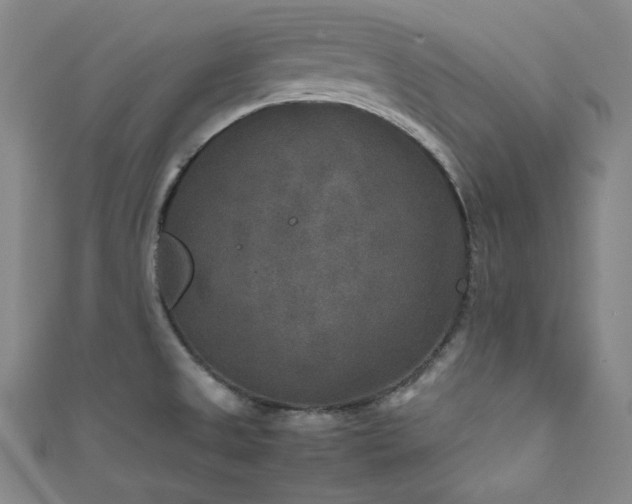 X0000111841525200907231357
