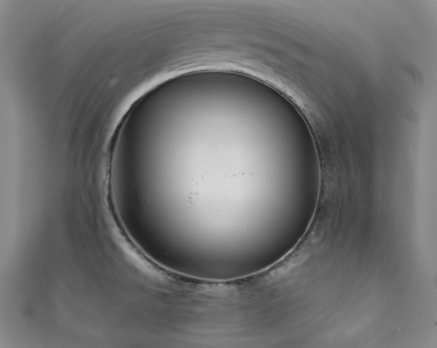 X0000111841526200907231357