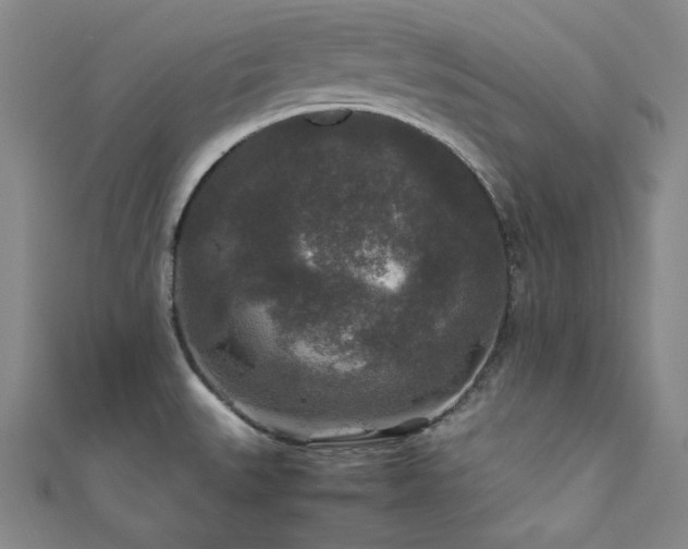 X0000111841527200907231357