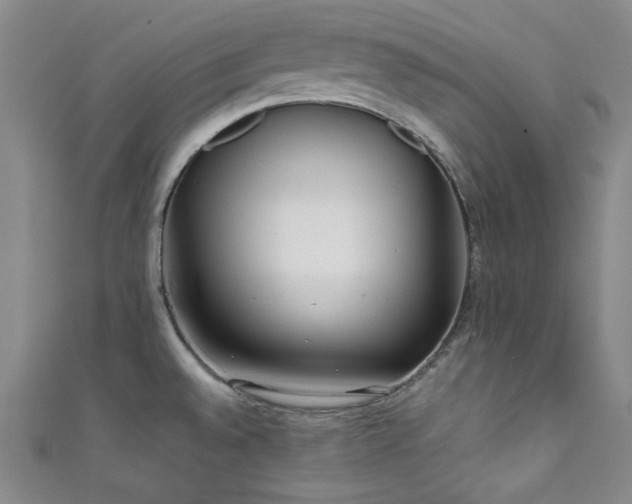 X0000111841528200907231357