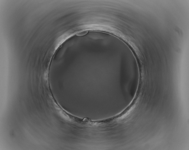 X0000111841529200907231357