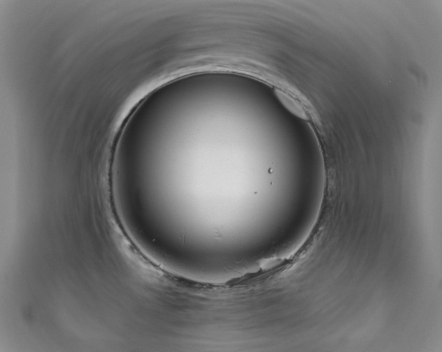 X0000111841530200907231357