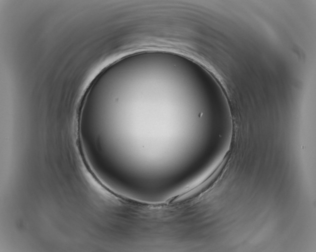 X0000111841531200907231357