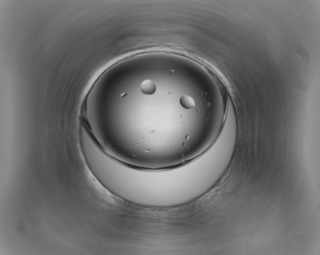 X0000111841532200907231357