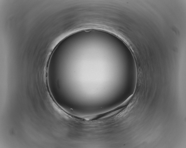 X0000111841535200907231357
