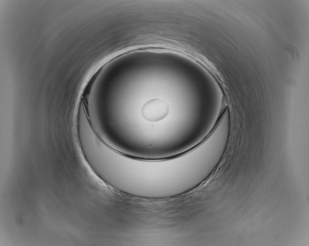 X0000111841536200907231357