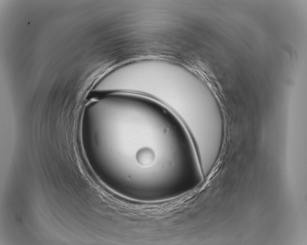 X0000111840001200907301100