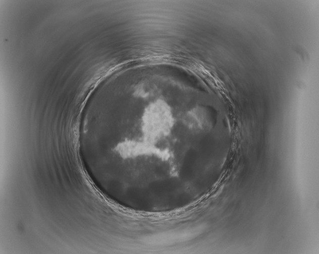 X0000111840002200907301100