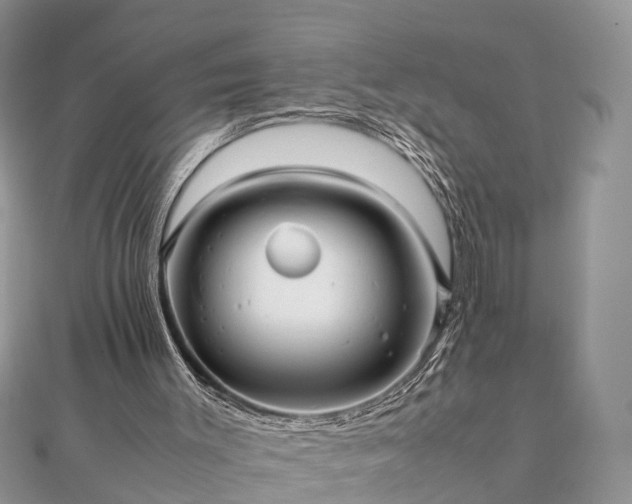 X0000111840003200907301100