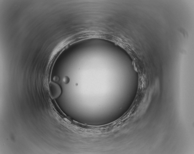 X0000111840004200907301100