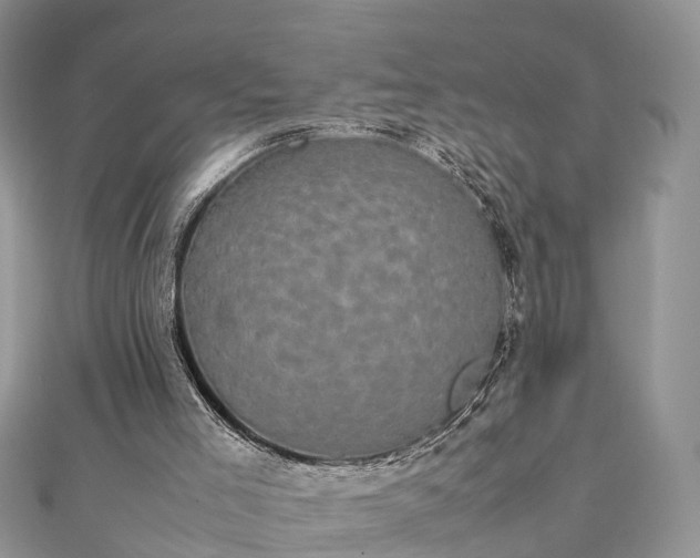 X0000111840005200907301059