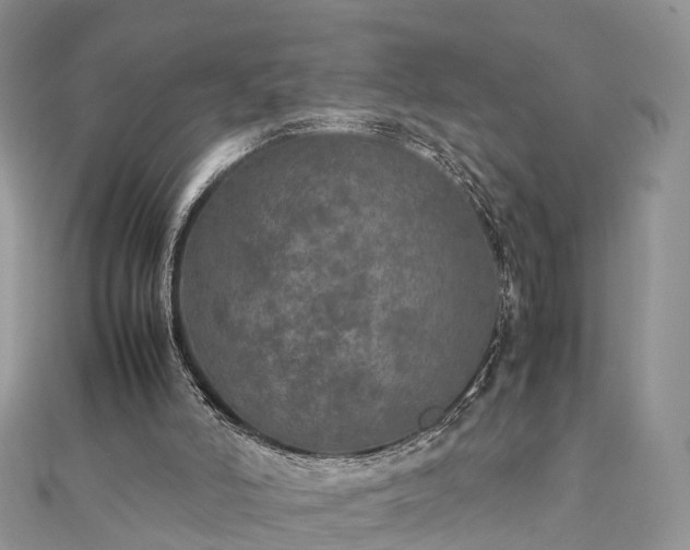 X0000111840006200907301059