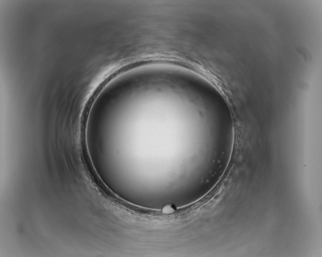 X0000111840008200907301059