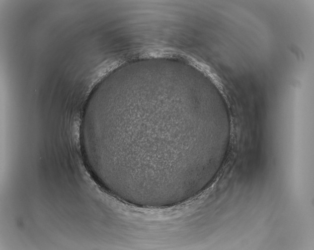 X0000111840010200907301059