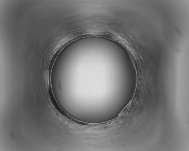 X0000111840011200907301059