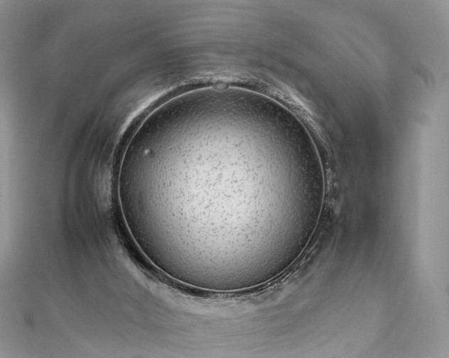 X0000111840012200907301059