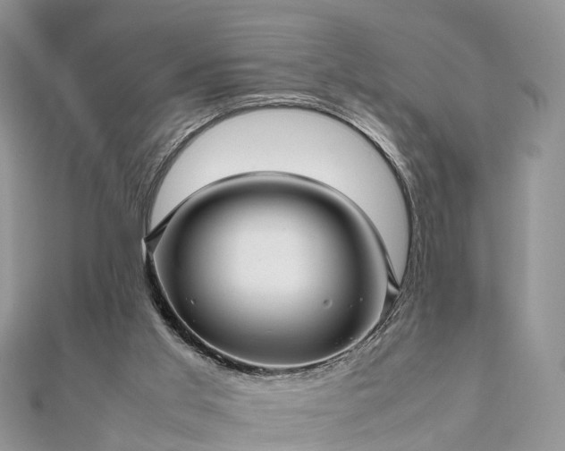 X0000111840013200907301059