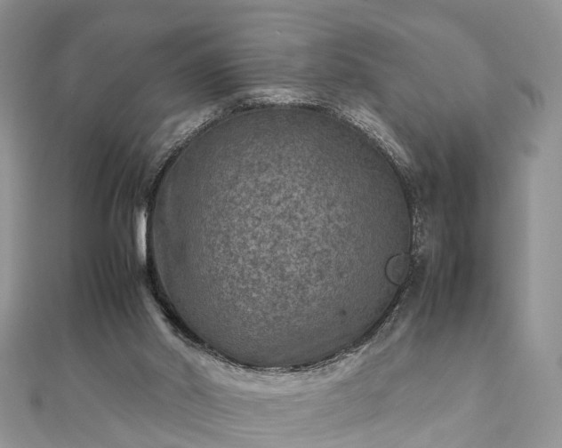 X0000111840014200907301059