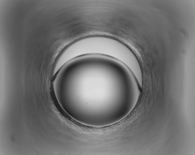 X0000111840015200907301059