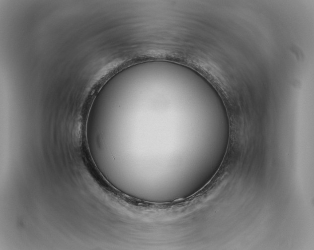 X0000111840016200907301059