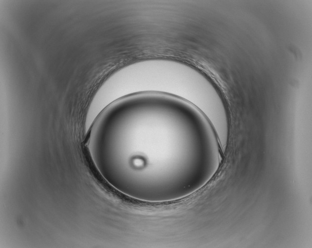 X0000111840017200907301059