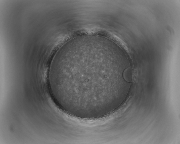 X0000111840018200907301059