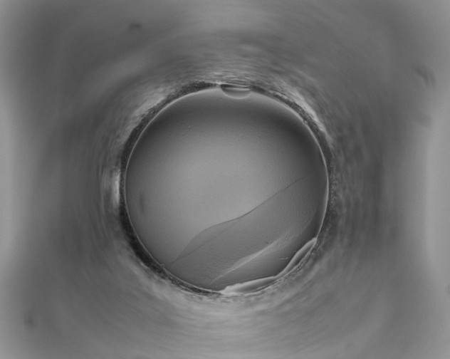 X0000111840019200907301059