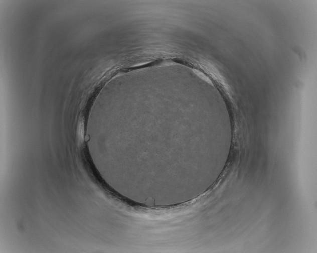 X0000111840021200907301059