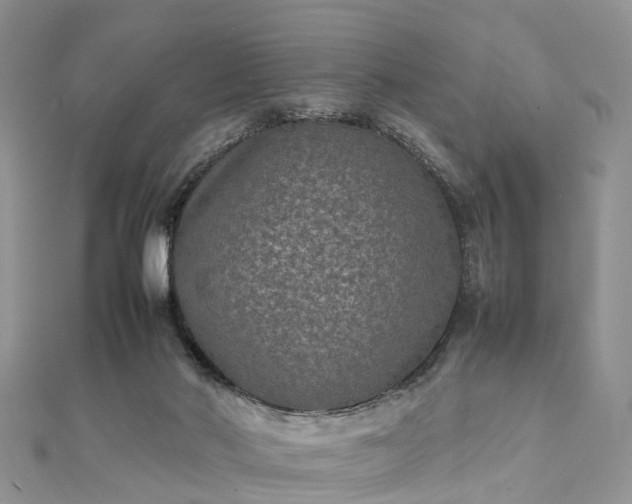 X0000111840022200907301059