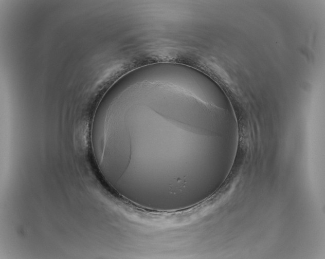 X0000111840023200907301059