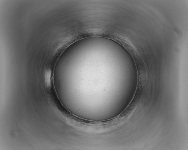 X0000111840024200907301059