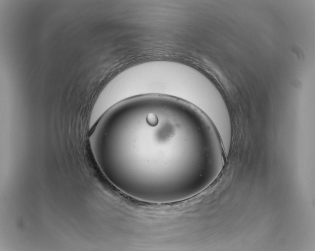 X0000111840025200907301059