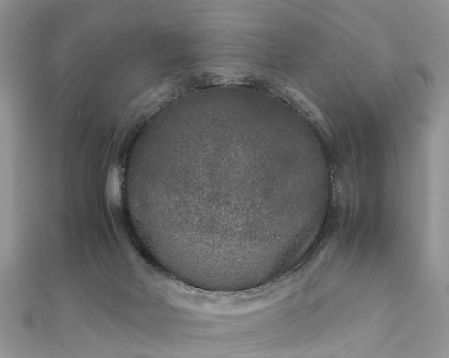 X0000111840026200907301059