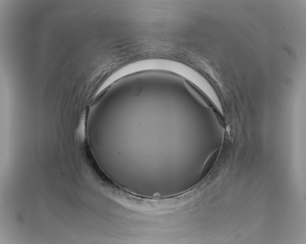 X0000111840027200907301059