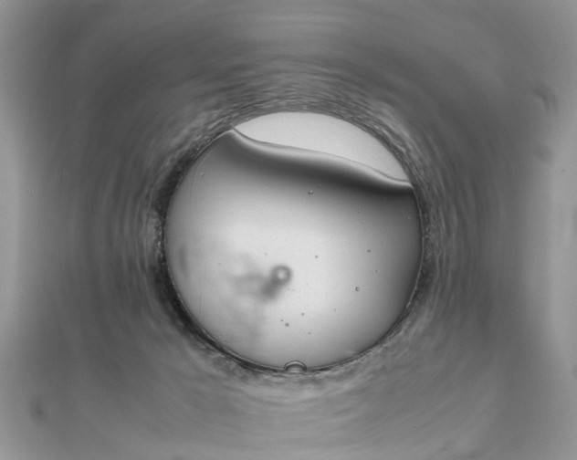 X0000111840029200907301059