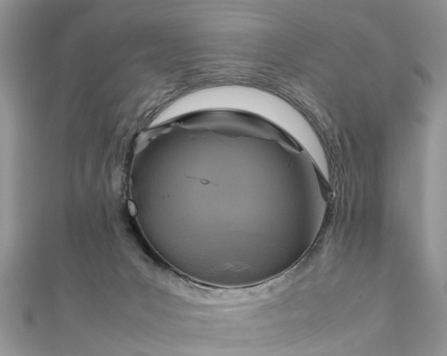 X0000111840031200907301059