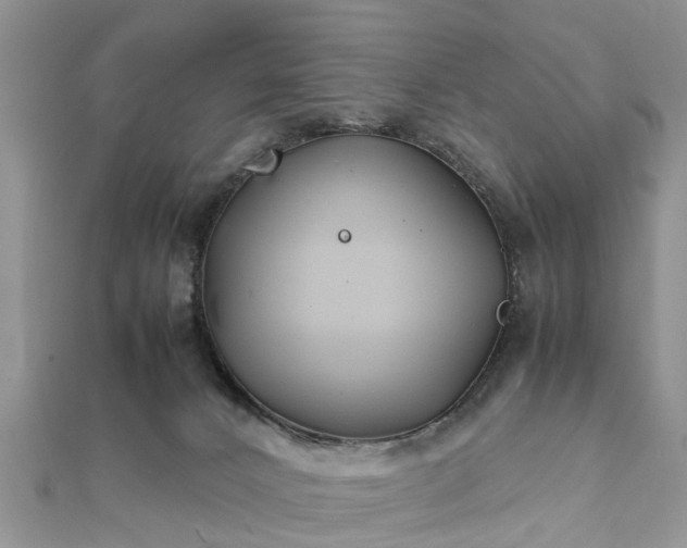 X0000111840032200907301059