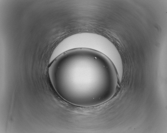 X0000111840033200907301059