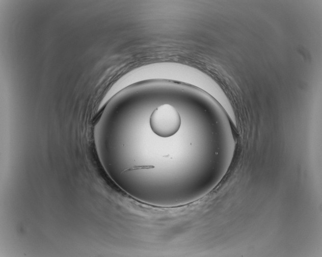 X0000111840035200907301059