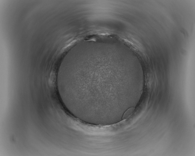 X0000111840036200907301059