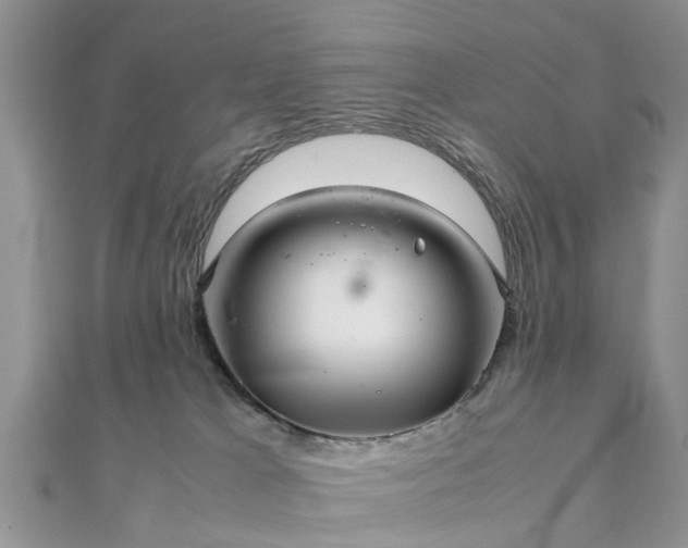 X0000111840037200907301059