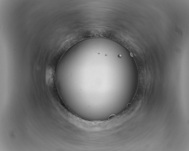 X0000111840038200907301059