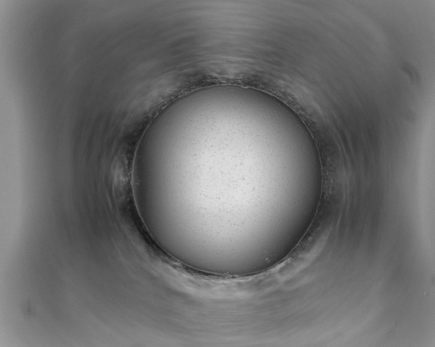 X0000111840040200907301059