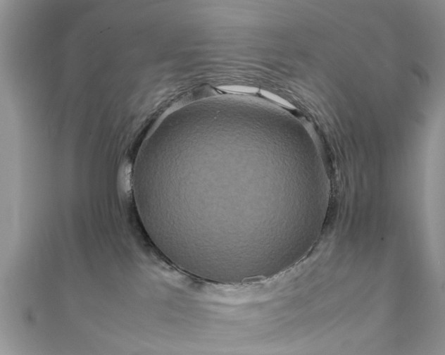 X0000111840041200907301059