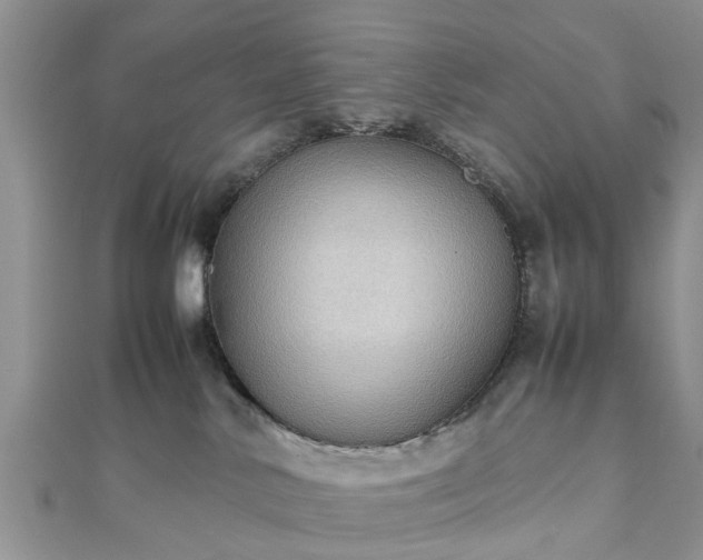 X0000111840042200907301059