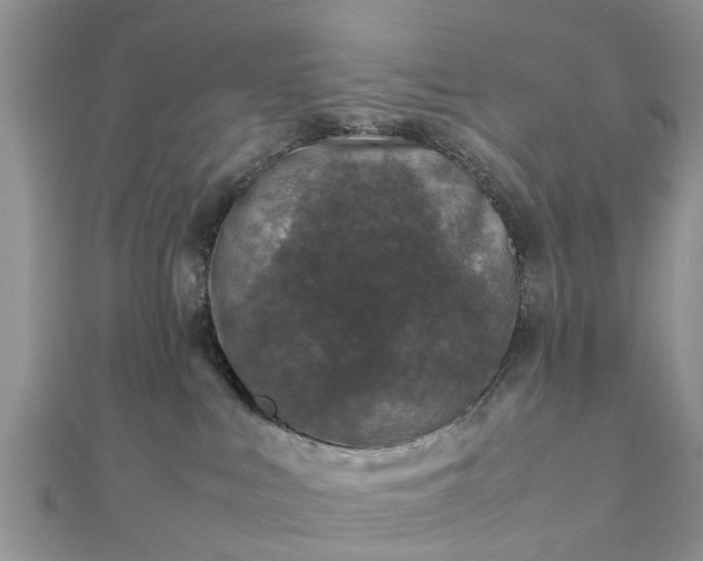 X0000111840043200907301059