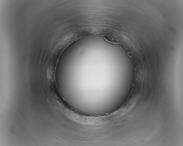 X0000111840044200907301059