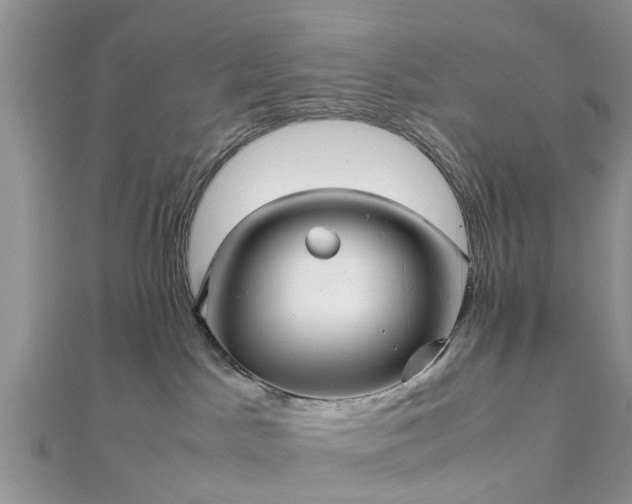 X0000111840045200907301059