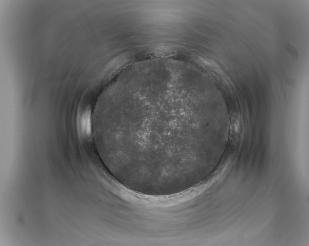 X0000111840046200907301059